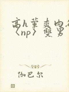 高h荤爽肉欲文〈np〉双男