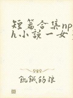短篇合集np高h小说一女多男