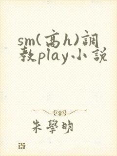 sm(高h)调教play小说封面