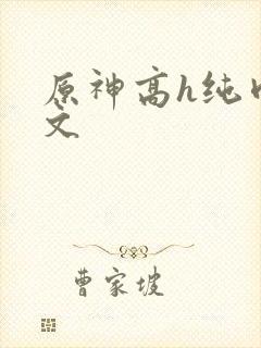 原神高h纯肉污文