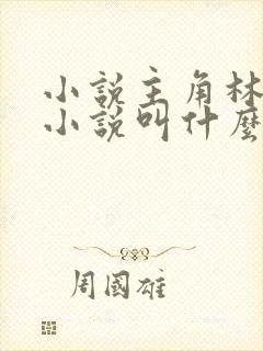 小说主角林云的小说叫什么封面