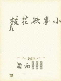 校花欲事小说高h