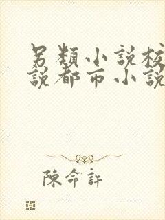 另类小说校园小说都市小说