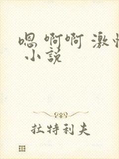 嗯 啊啊 激情 小说封面