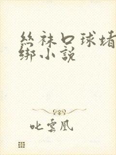 丝袜口球堵嘴捆绑小说封面