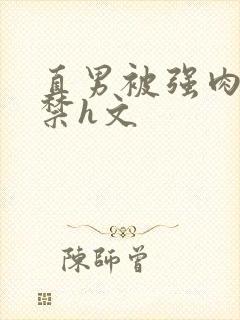 直男被强肉到失禁h文