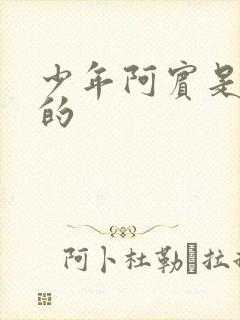 少年阿宾是谁写的