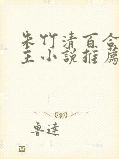 朱竹清百合双女主小说推荐