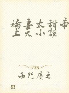 娇妻太甜帝少宠上天小说