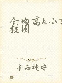 全肉高h小说 校园封面