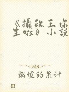 《摄政王你也重生啦》小说