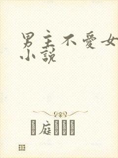 男主不爱女主的小说