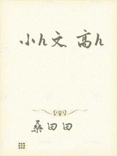小h文 高h