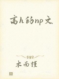 高h的np文