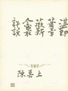 许念薇萧湛明小说最新章节免费阅读