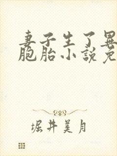 妻子生了异父双胞胎小说免费阅读