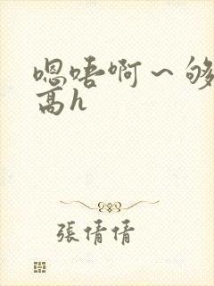 嗯唔啊～够了啊高h