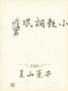 催眠调教小说双男封面