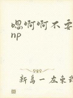 嗯啊啊不要高hnp