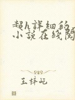 超h详细的长篇小说在线阅读