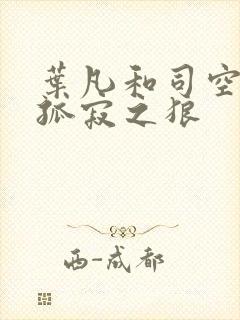 叶凡和司空嫣然孤寂之狼封面