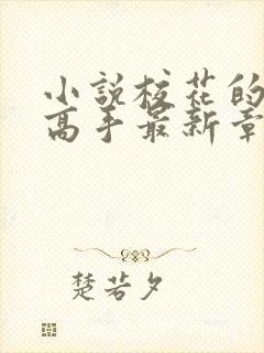 小说校花的贴身高手最新章节下载封面