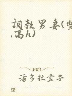 调教男妻(双性,高h)