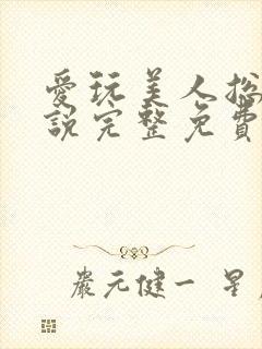 爱玩美人总攻小说完整免费阅读