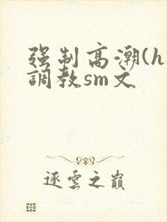 强制高潮(h)调教sm文封面