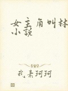 女主角叫林笙的小说