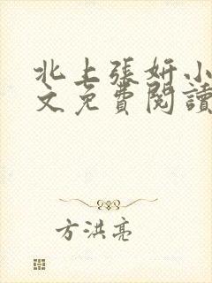 北上张妍小说全文免费阅读