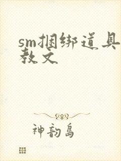 sm捆绑道具调教文