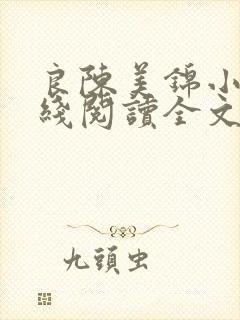 良陈美锦小说在线阅读全文