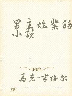 男主姓紫的玄幻小说