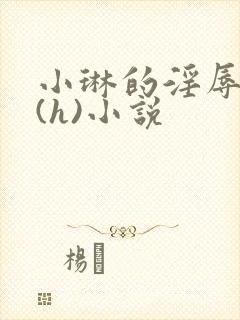 小琳的淫辱日记(h)小说