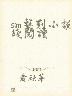 sm系列小说在线阅读
