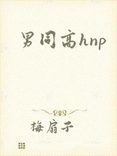 男同高hnp