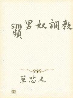 sm男奴调教视频