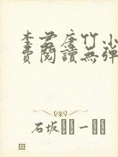 李君唐竹小说免费阅读无弹窗