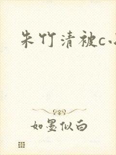 朱竹清被c小说