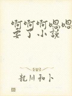 啊啊啊嗯嗯嗯不要了小说