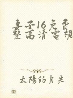 妻子16免费完整高清电视剧看封面