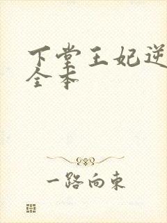 下堂王妃逆袭记全本