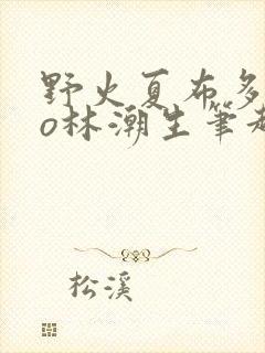 野火夏布多昂po林潮生笔趣阁