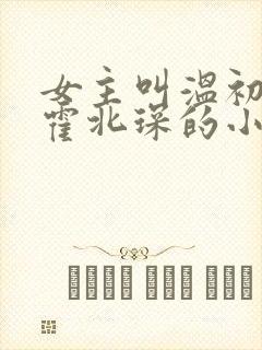 女主叫温初男主霍北琛的小说