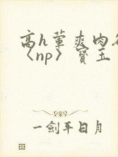 高h荤爽肉欲文〈np〉宝玉