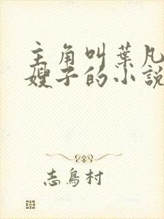 主角叫叶凡七个嫂子的小说封面