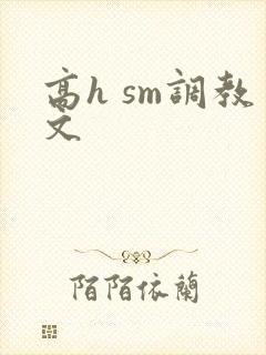高h sm调教文