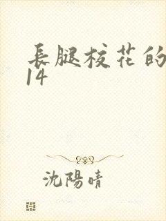 长腿校花的呻吟14