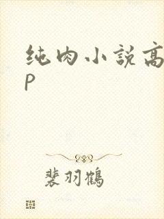 纯肉小说高hnp